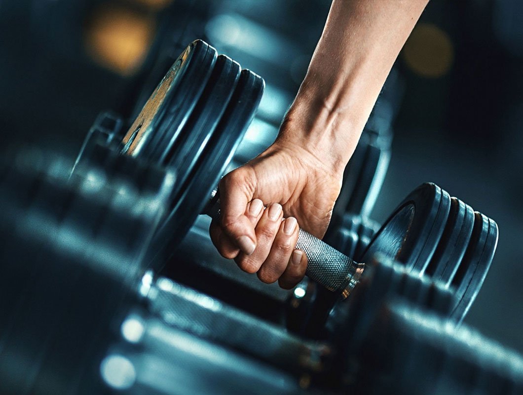 Fitness Expert - The Diet Bull